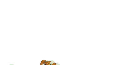 604049_HZE10_8484.jpg