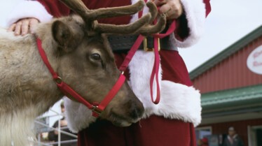 DocGotRunOverByAReindeer_IncredibleDrPol_Ep805_LR_02.jpg