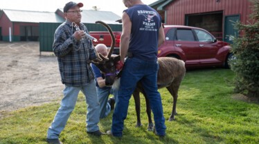 DocGotRunOverByAReindeer_IncredibleDrPol_Ep805_03.jpg