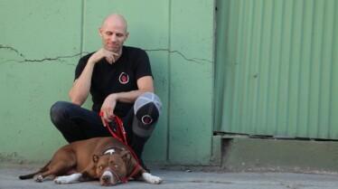 Dog Impossible  Remue-ménage.jpg