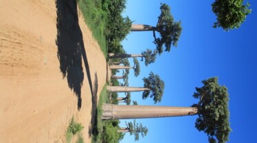 Madagascar un Eden à protéger 1.JPG