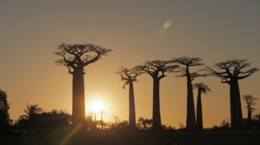 Madagascar un Eden à protéger 3.JPG