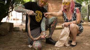 Snakes In The City Compilations.jpg