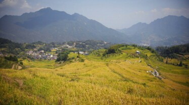 Voyage à travers les couleurs  La Chine en jaune (1).jpeg