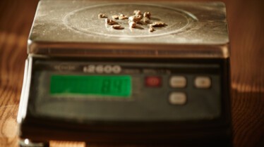 Yukon Gold  L'Or à tout prix - Le stress monte (2).jpg