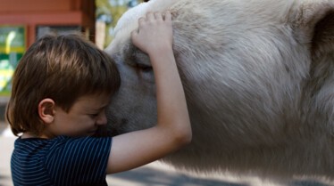 Timmy failure - Des erreurs ont été commises (2).jpg