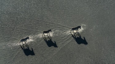 Okavango  Le fleuve des rêves - Le paradis (3).JPG