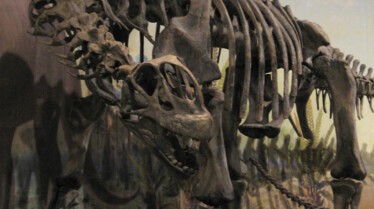 Le sanctuaire des dinosaures (1).jpg