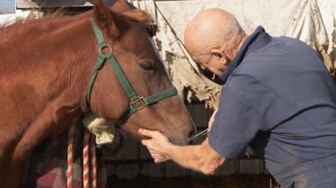 L'incroyable Dr Pol  Drôle de période.jpg