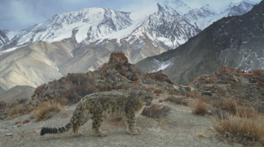 Planète Hostile  Sur les cimes (2).tif