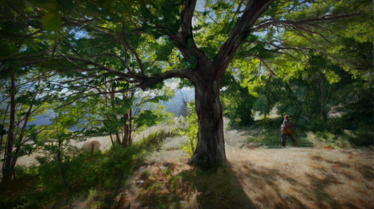 L'homme des bois  Cévennes, forêt des résistances (1).tif