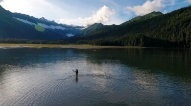 Alaska, survie avec les ours  L'abattoir des saumons (1).jpg