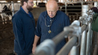 L'incroyable Dr Pol  Les vaches de l'apocalypse (2).jpg