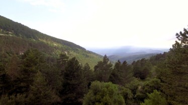Sur les sentiers de l'Histoire  En Provence Gallo-Romaine (1).jpg