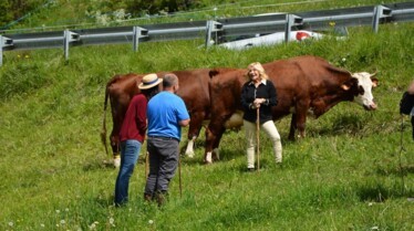 Sur les routes mythiques de France  La route de la vallée d'Abondance avec Nicoletta (1).jpg