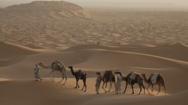 Destination wild Afrique Maroc (1).jpg