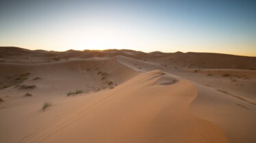 Destination wild Afrique Maroc.jpg