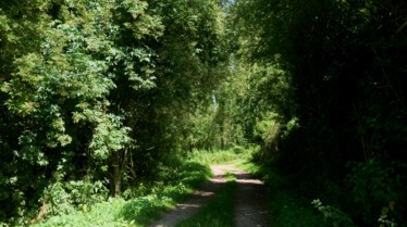 Sur les sentiers de l'Histoire  La piste des terrils (1).jpg