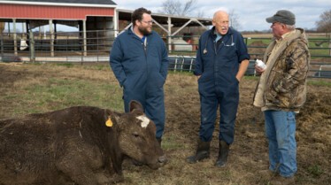 L'incroyable Dr Pol  La récompense.jpg