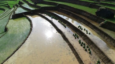 Monsieur Gluzicki au Vietnam, terre de légendes (2).jpg