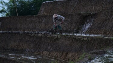 Monsieur Gluzicki au Vietnam, terre de légendes (1).JPG