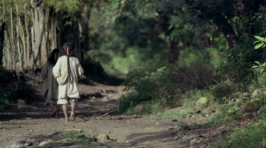 Voyage à travers les couleurs  La Colombie en vert (2).png