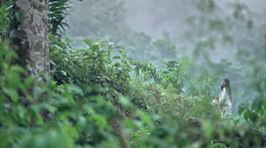 Voyage à travers les couleurs  La Colombie en vert.png