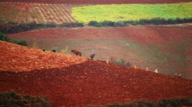 Voyage à travers les couleurs  La Chine en rouge.jpeg