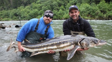 Bêtes de poissons  Zeb contre Goliath.jpg