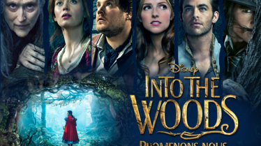Into_The_Woods_FRP_L13_HD_1440x1080.png