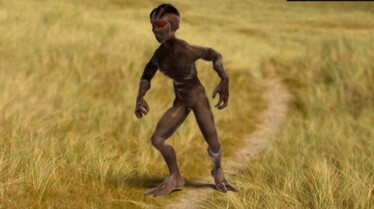 Chasseurs d'OVNIS  Des aliens dans la jungle (2).jpg