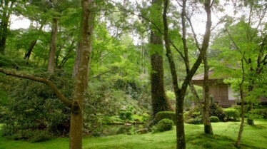 Voyage à travers les couleurs  Le Japon multicolore (3).jpg