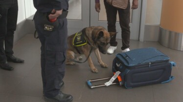 Ultimate Airport Pérou .jpg