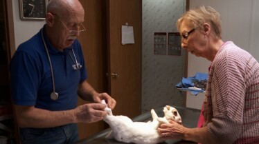 L'incroyable Dr Pol Dr Pol à la rescousse (2).JPG