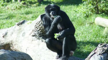 SecretsOfTheZoo_Ep205_02.jpg