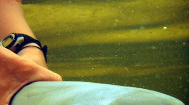 Bébés mais dangereux ! Les survivants d'Amazonie (1).JPG