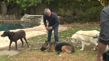 SOS Cesar Panique à la maison (2).JPG