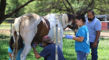Les aventures du Dr. Buckeye Bottoms Cracher n’est pas jouer.jpg
