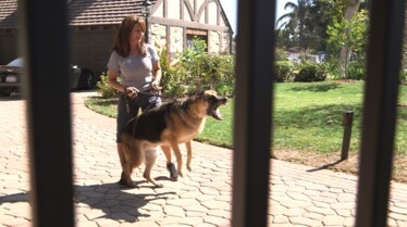 SOS Cesar  Panique à la maison.JPG