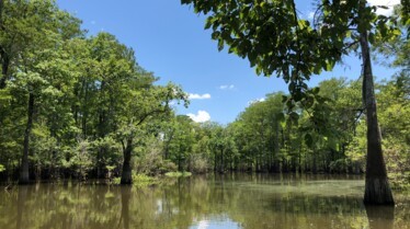 Au bout c'est la mer  Le Mississippi (1).JPG