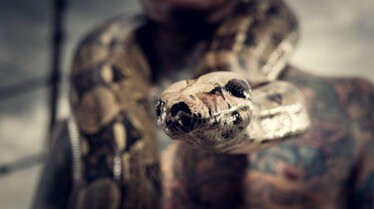 Snakes In The City  Un train et un serpent (1).jpg
