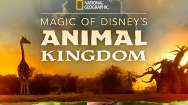 Au Coeur d'Animal Kingdom