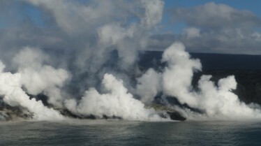 Ep101_014_WildHawaii.jpg