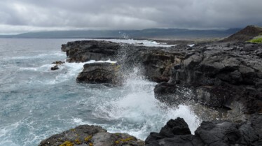 Ep101_020_WildHawaii.jpg