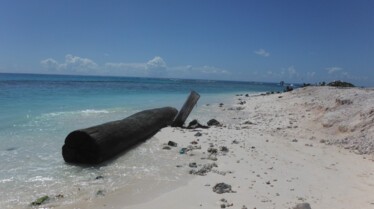Ep102_024_WildHawaii.jpg
