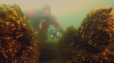 Drain the ocean 2.jpg