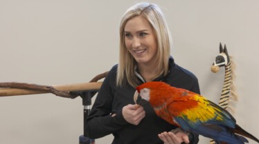 Au coeur du zoo 1.jpg