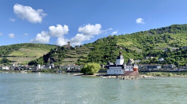 ABCLM-RHIN2019-©William_JAPHET__00014.jpg