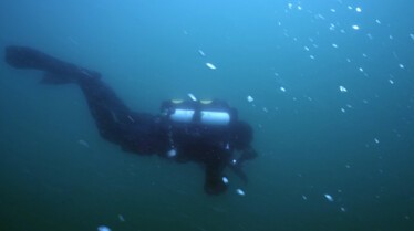 ATLANTIDE, LA CITE PERDUE 2.jpg