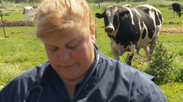 Dr Pol s9e15 2.JPG